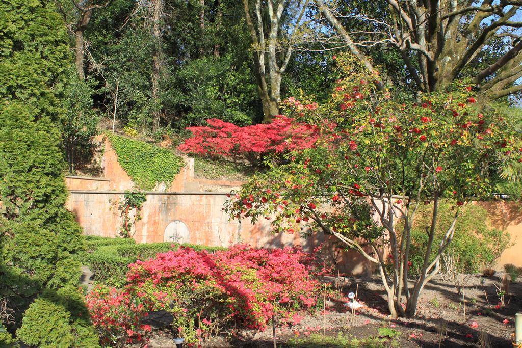 Hotel Chantaco Golf & Wellness Saint-Jean-de-Luz Bagian luar foto