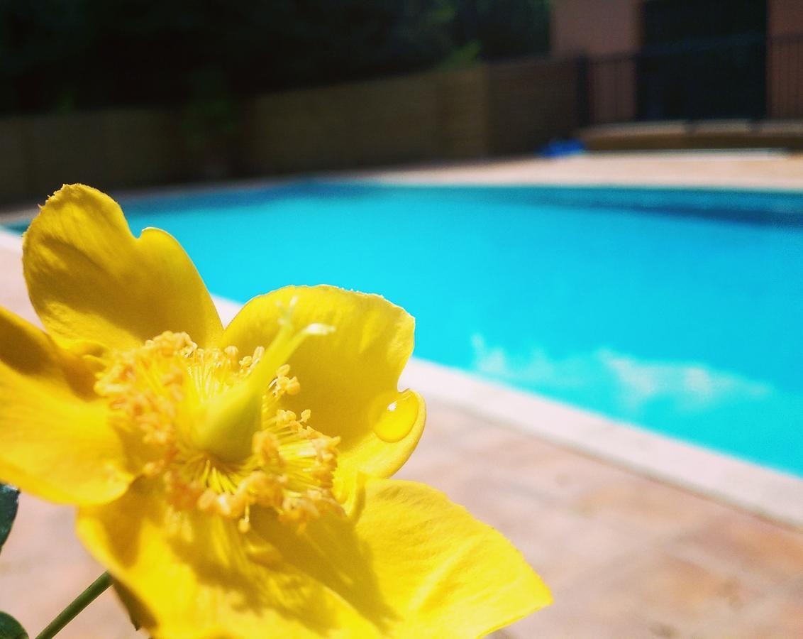 Hotel Chantaco Golf & Wellness Saint-Jean-de-Luz Bagian luar foto